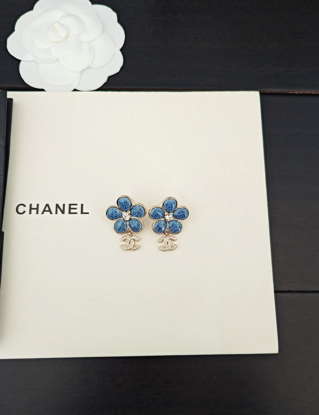 P65 Earrings
