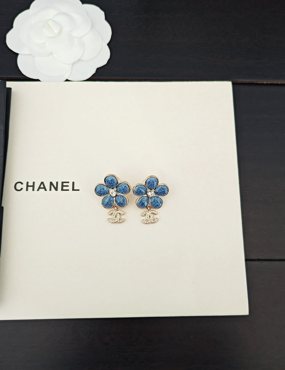 P65 Earrings
