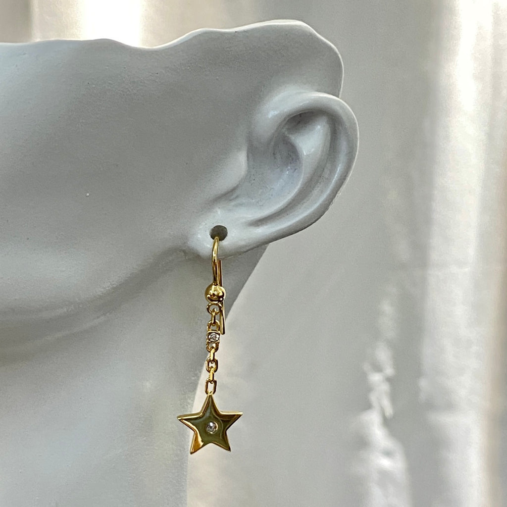 DIOR Earrings