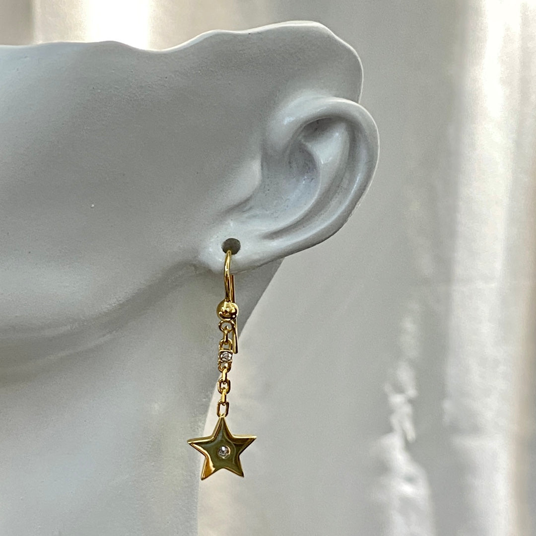 DIOR Earrings