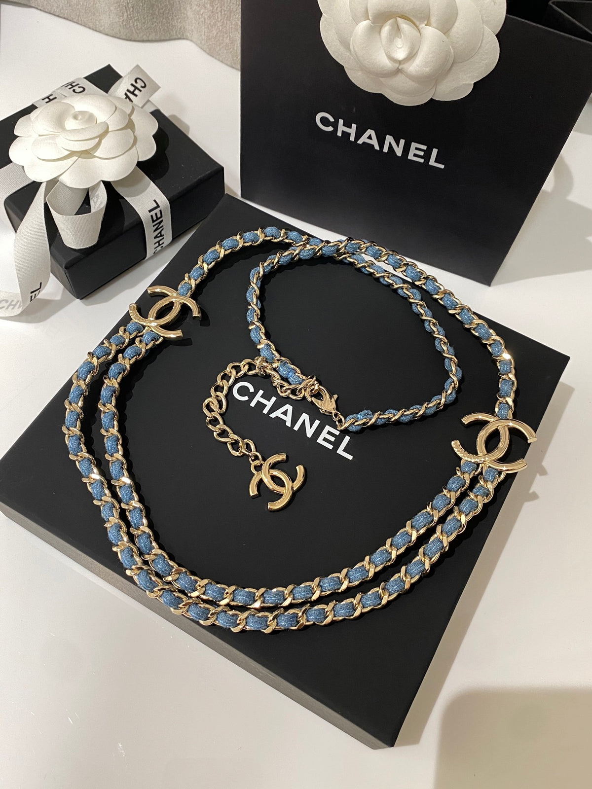 Double-C Long Necklace