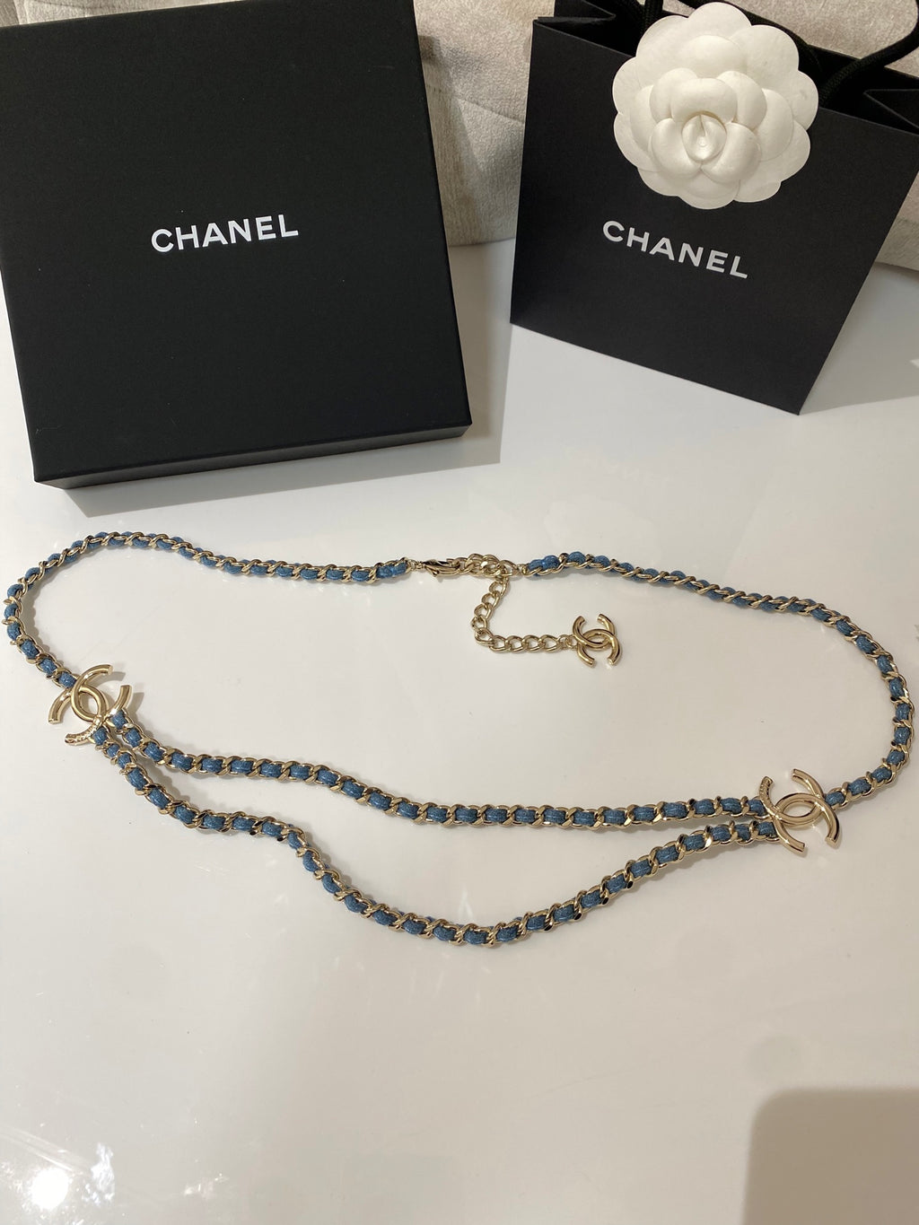 Double-C Long Necklace