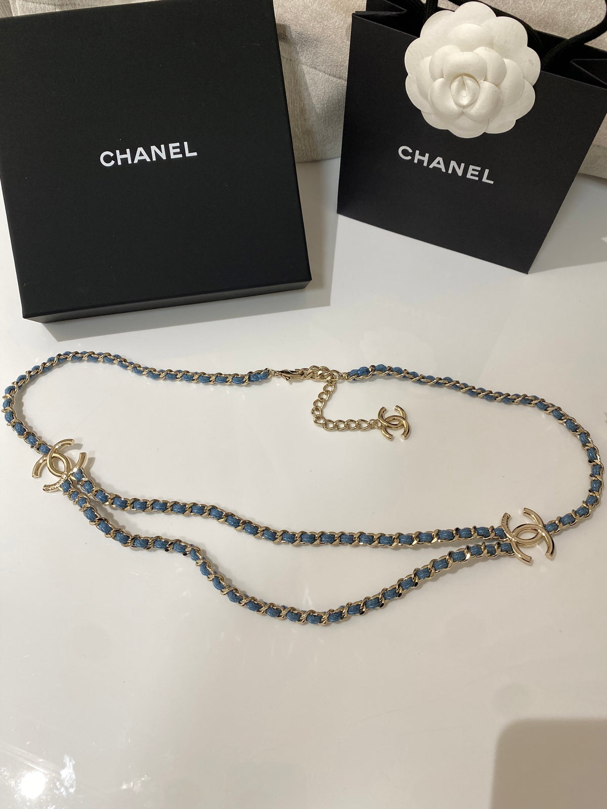 Double-C Long Necklace