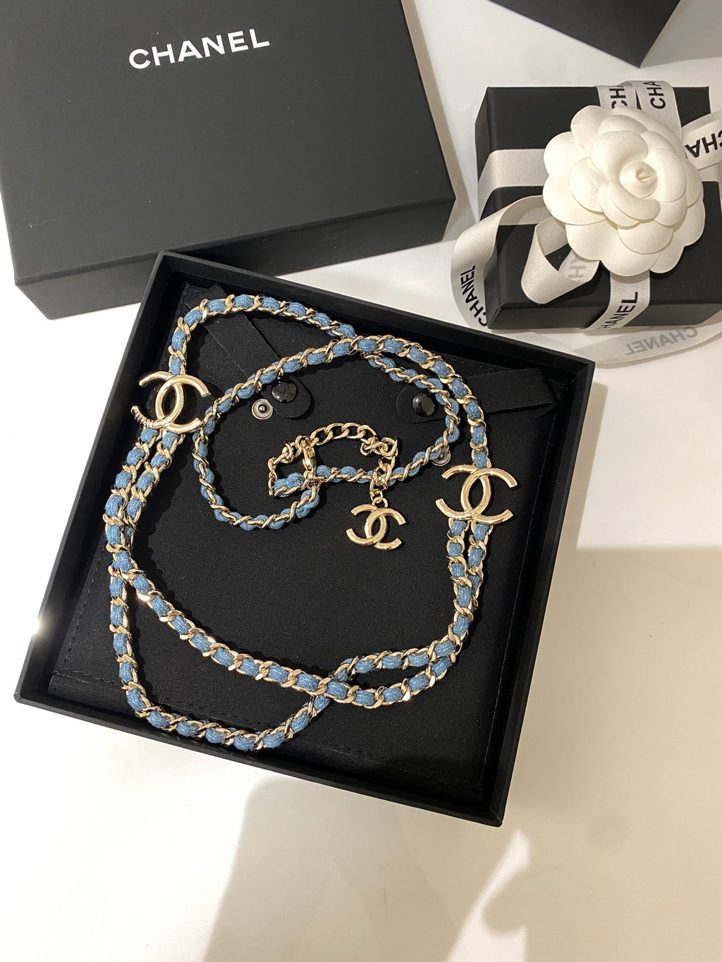 Double-C Long Necklace