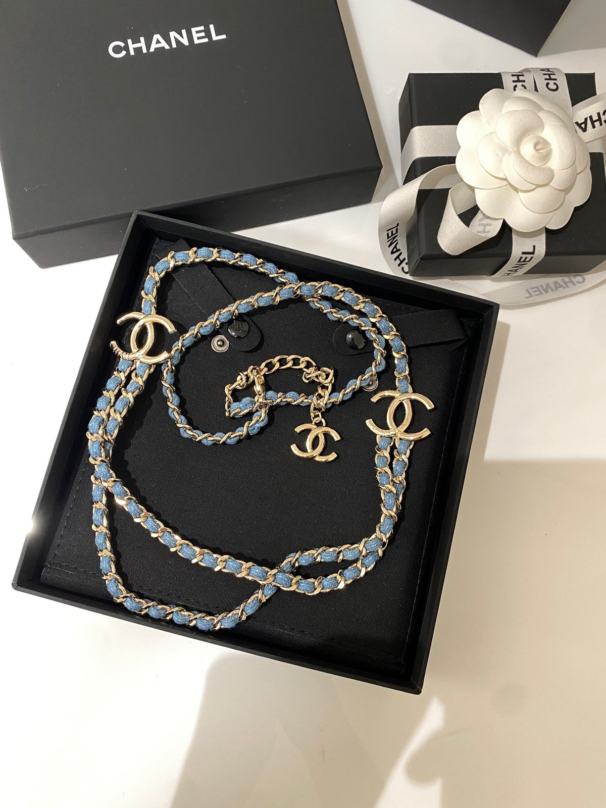 Double-C Long Necklace