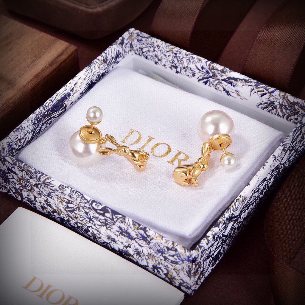 DIOR Earrings