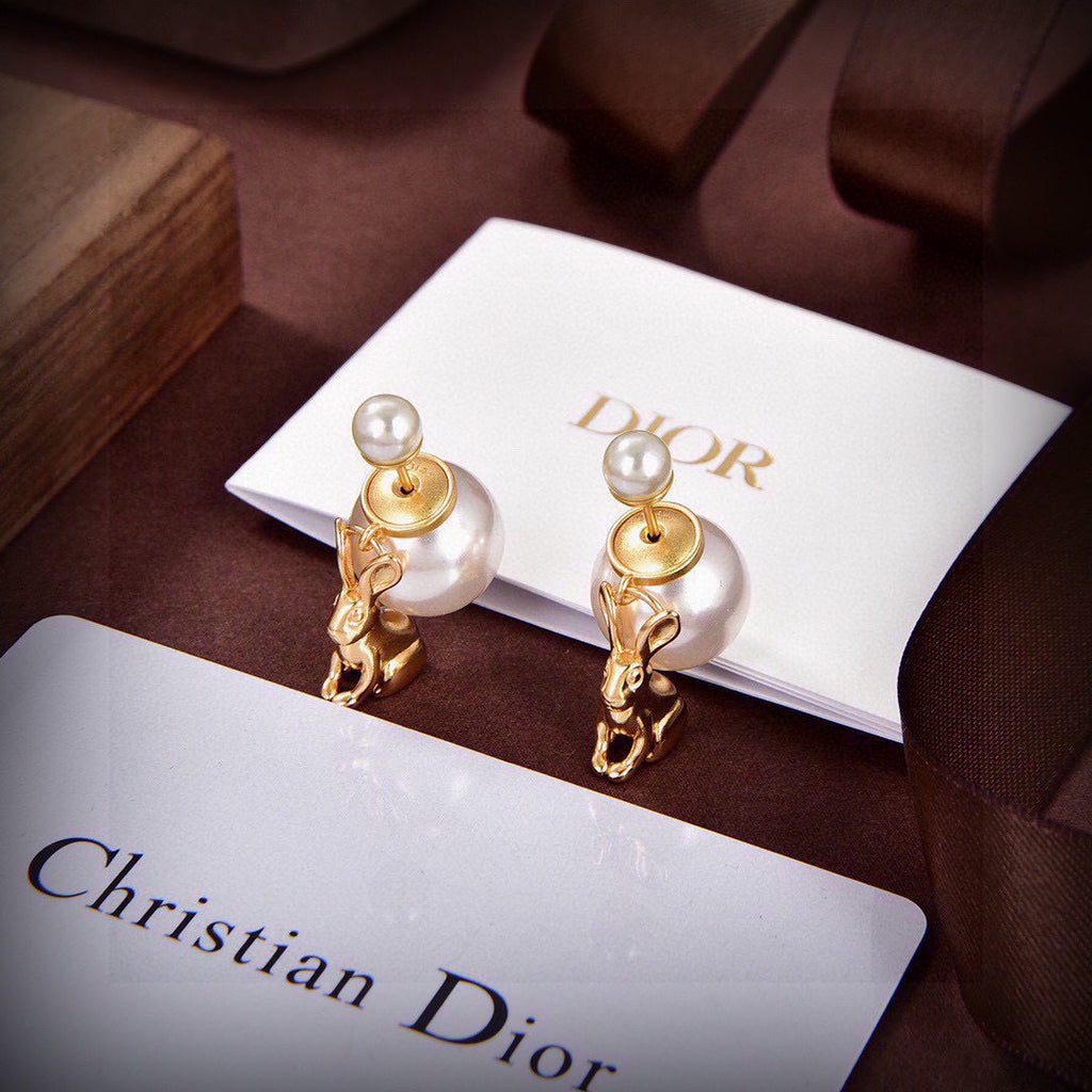 DIOR Earrings