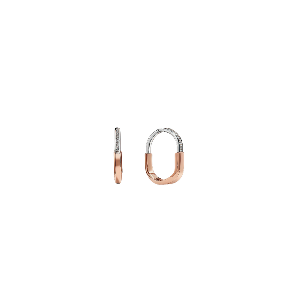 A4586 Earrings