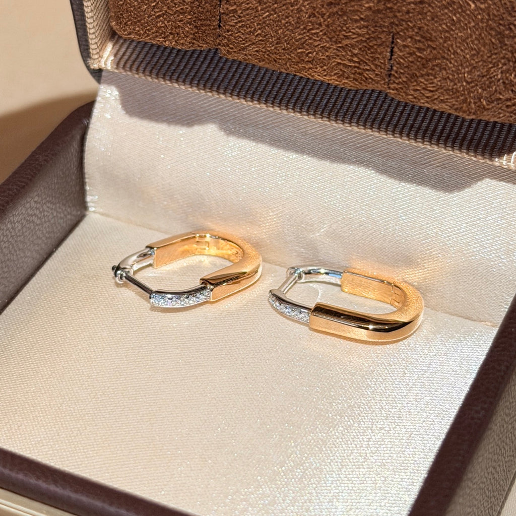 A4586 Earrings