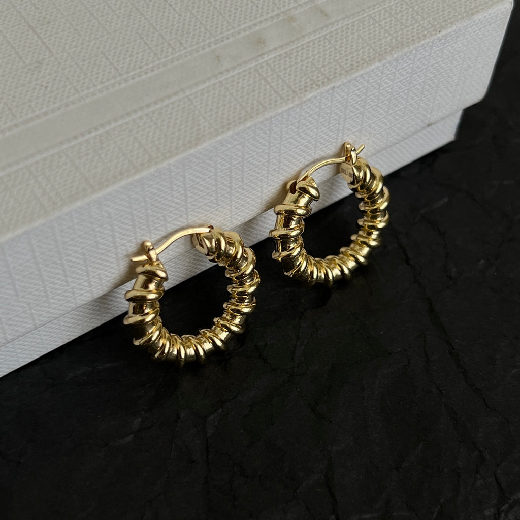 CELINE Earrings