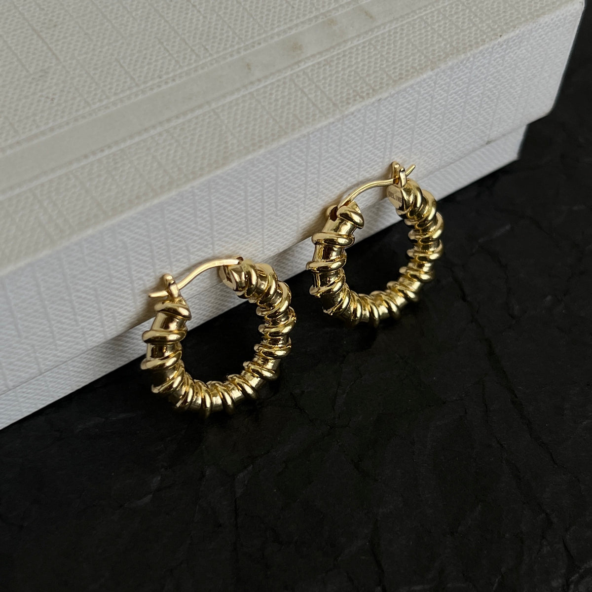CELINE Earrings