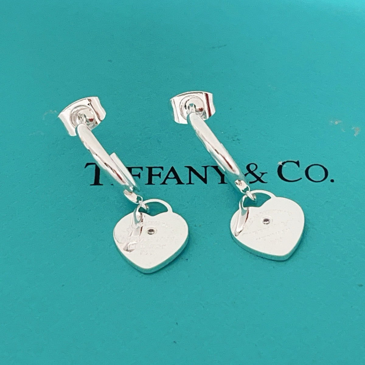TIFFANY & CO. P68TE131 Tassel Earrings