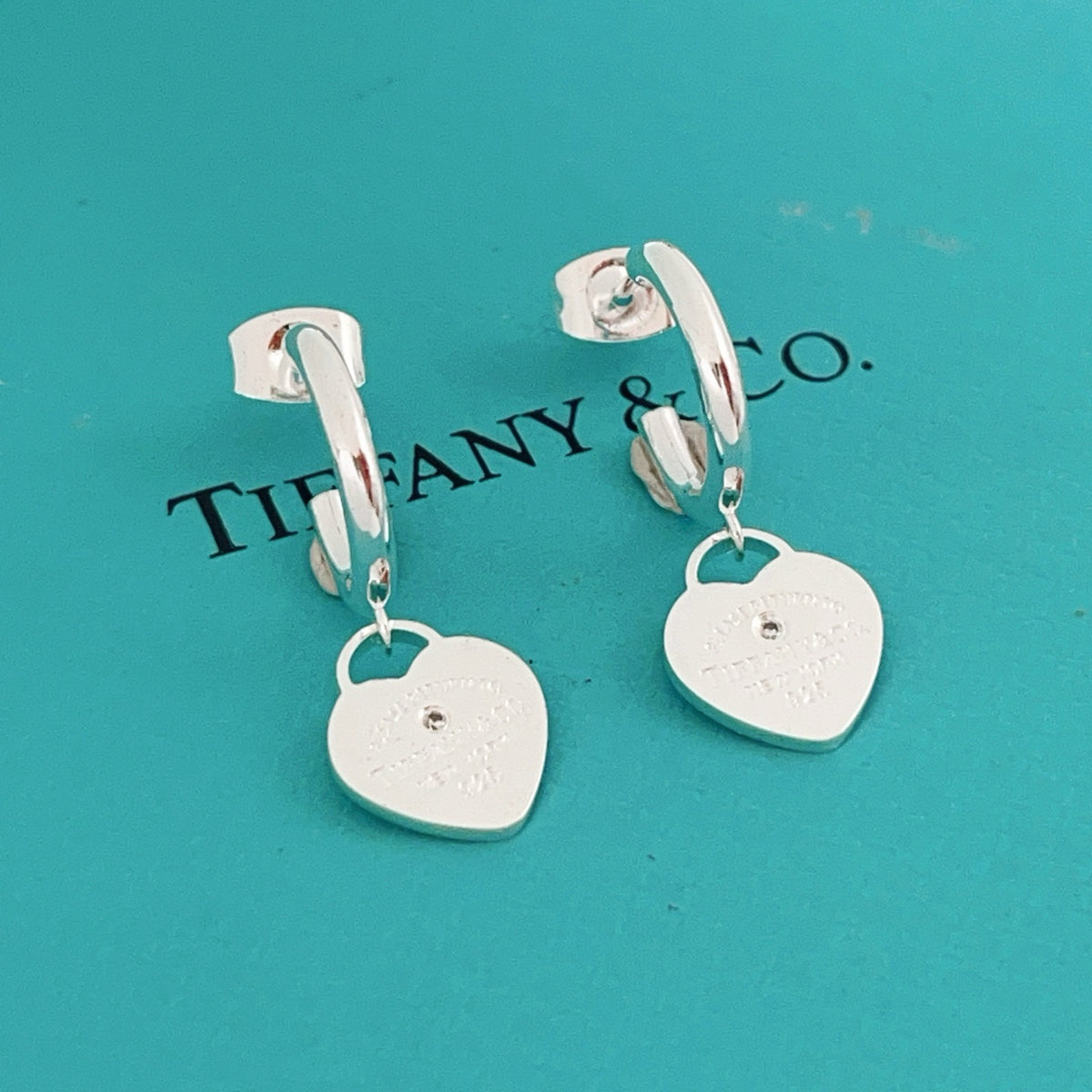 TIFFANY & CO. P68TE131 Tassel Earrings