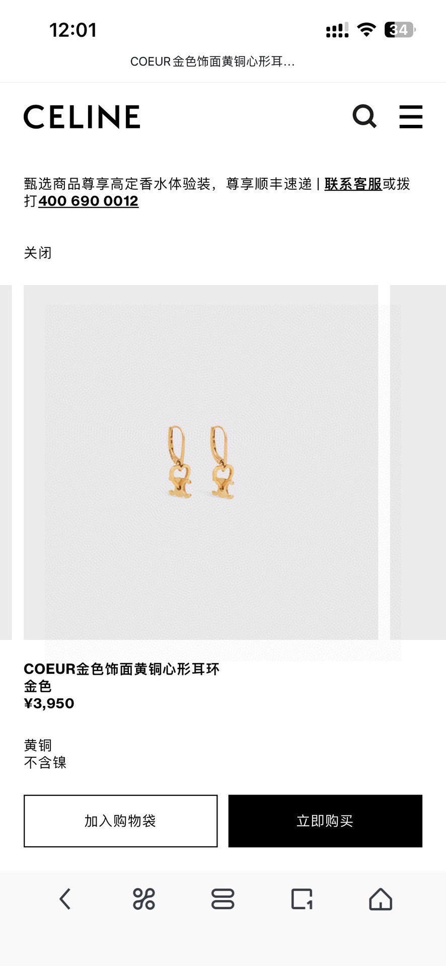 CELINE Earrings
