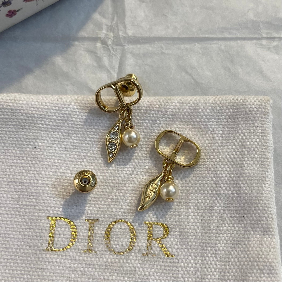 Earrings